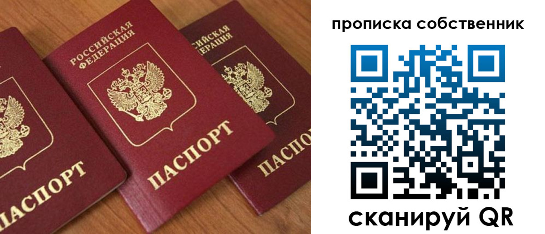 прописка 2025 в Королёве